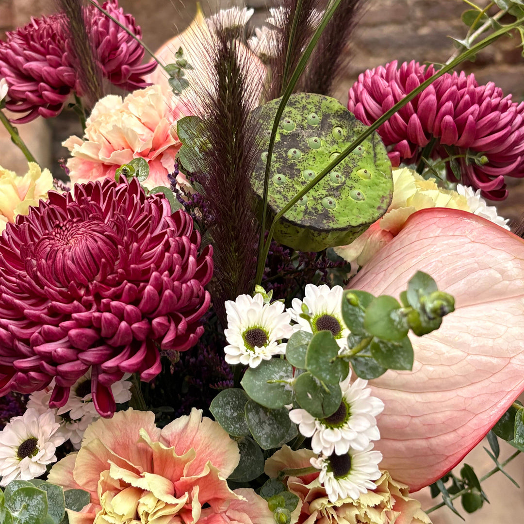 Guía de 10 flores navideñas, su simbolismo, consejos de cuidado y presentación para regalar y decorar en España estas fiestas