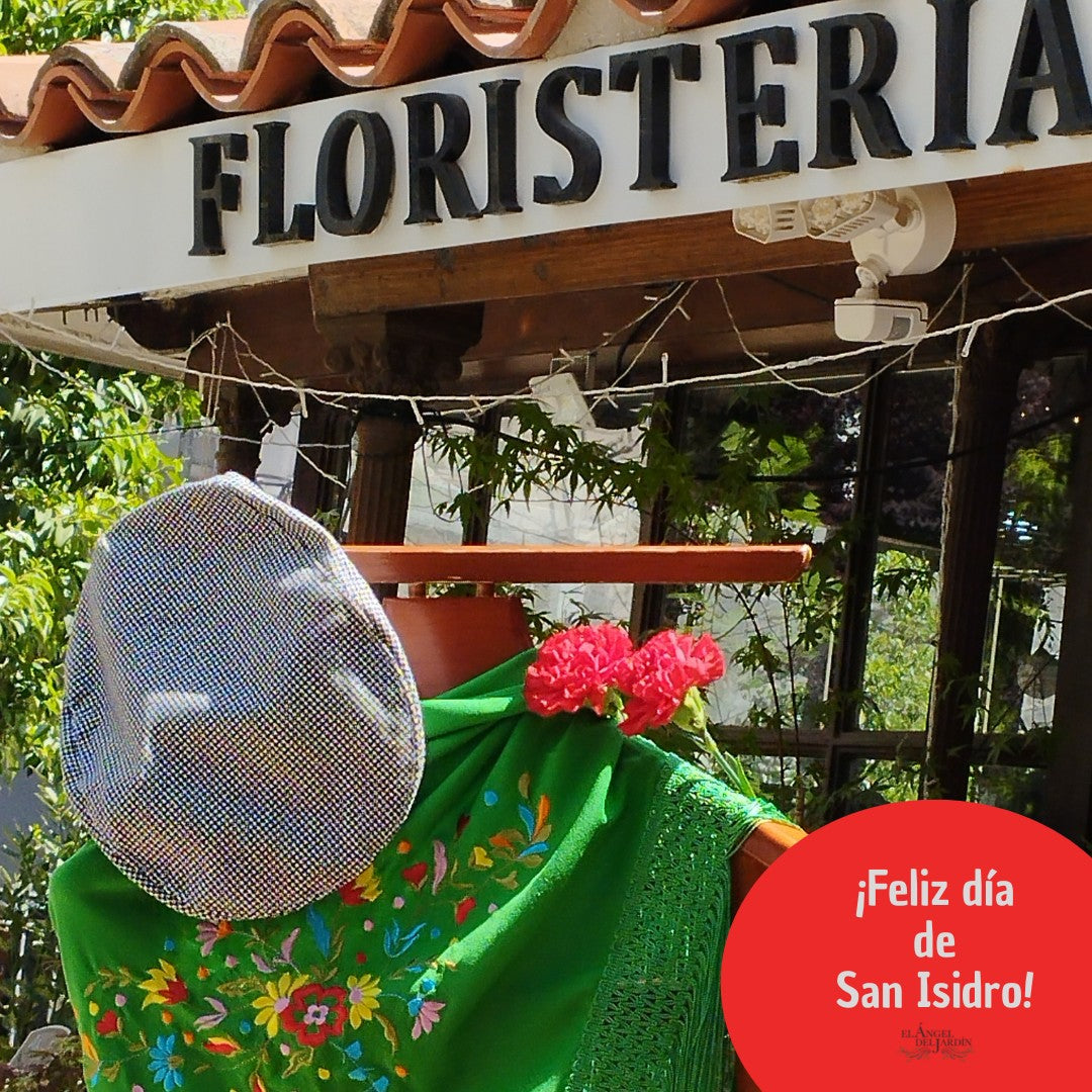 Día 15 de mayo, San Isidro en Madrid: ¿Qué se celebra y cuál es la flor típica?