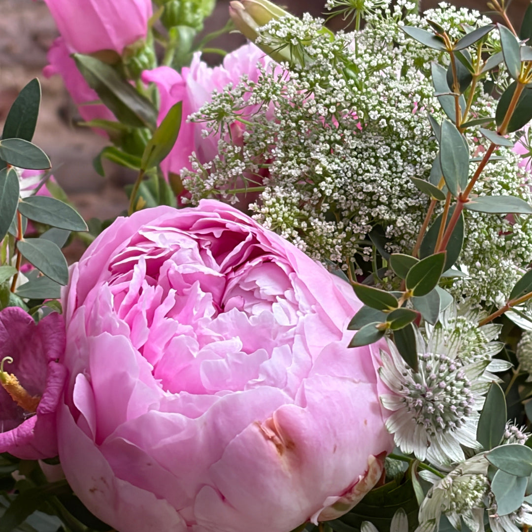 Ramo Sarah Bernhardt