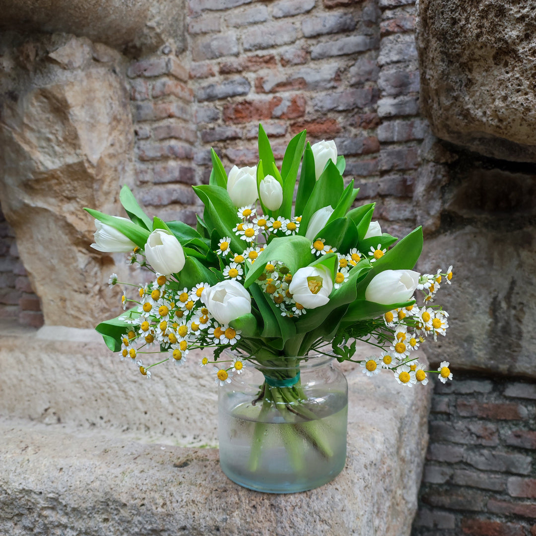 Ramo de Tulipanes Blancos con Tanacetum
