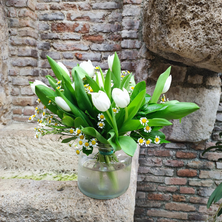 Ramo de Tulipanes Blancos con Tanacetum