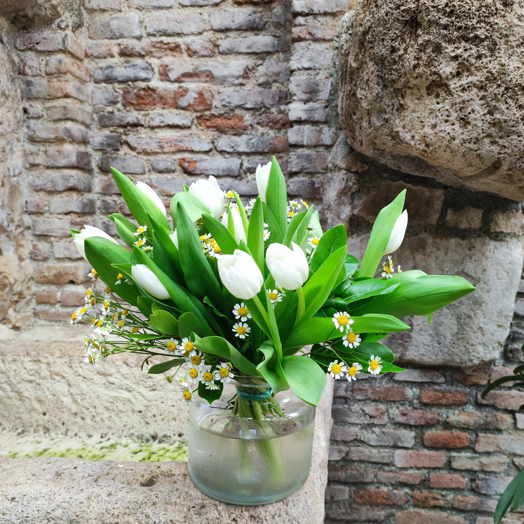 Ramo de Tulipanes Blancos con Tanacetum