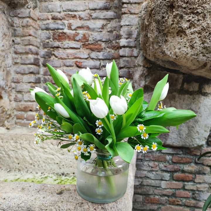 Ramo de Tulipanes Blancos con Tanacetum