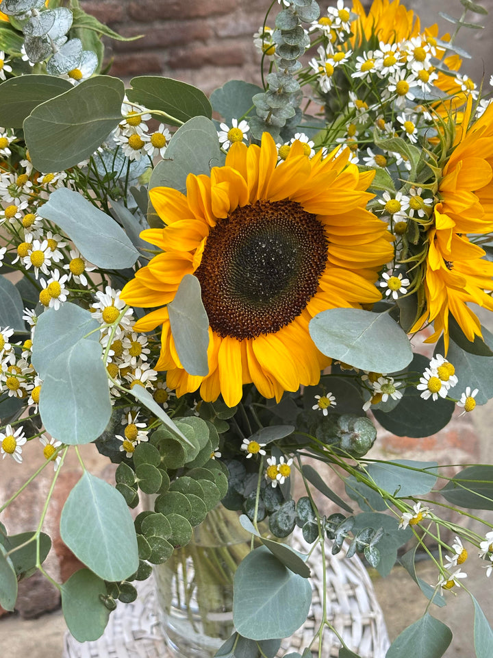 Ramo de Girasoles y Margaritas