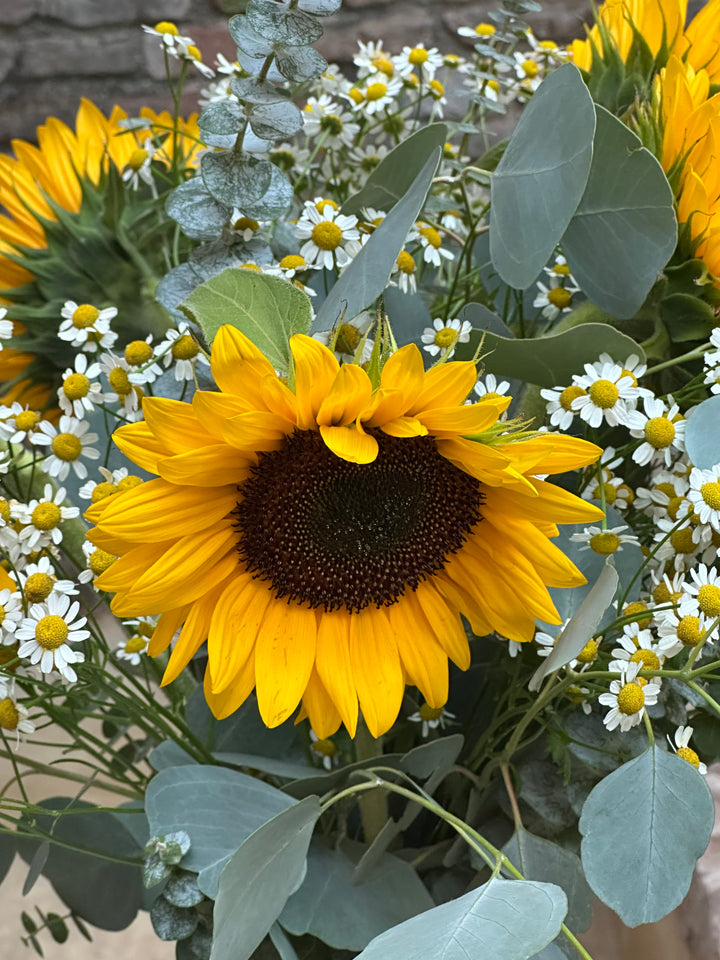 Ramo de Girasoles y Margaritas