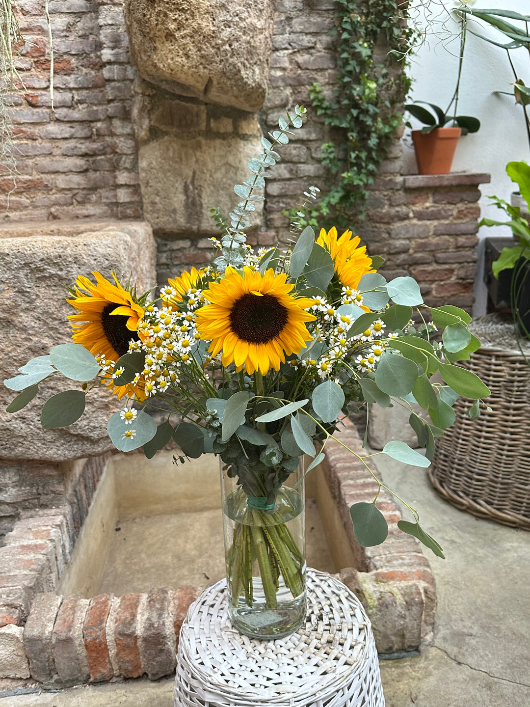 Ramo de Girasoles y Margaritas