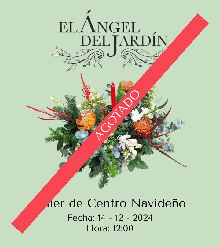 Taller de Centro Navideño 14 de Diciembre del 2024