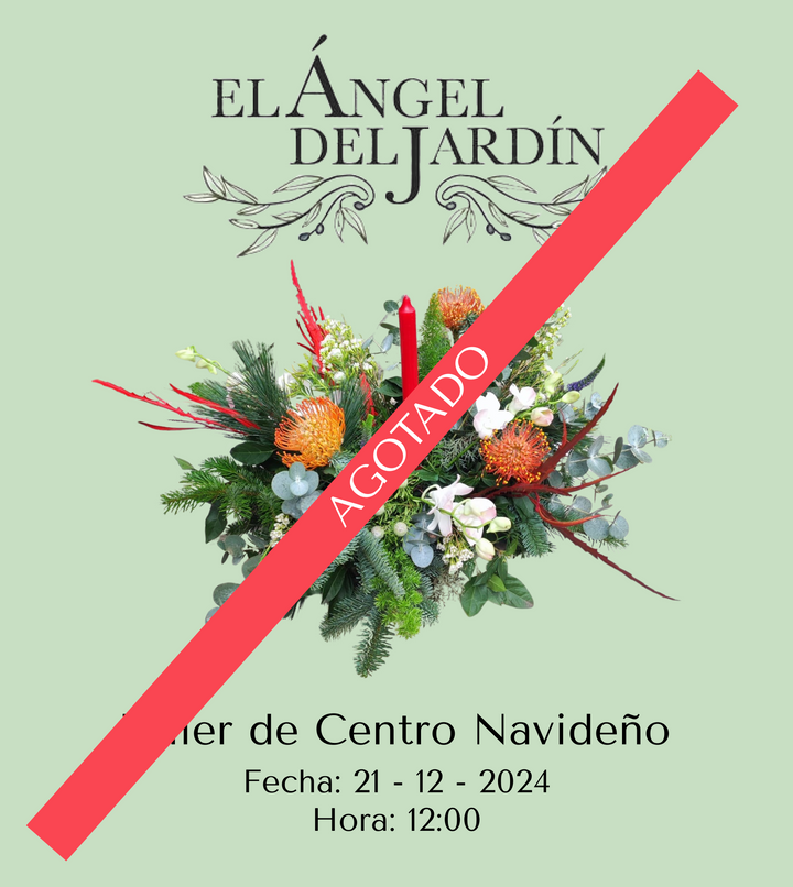 Taller de Centro Navideño 21 de Diciembre del 2024