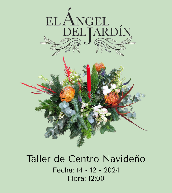 Taller de Centro Navideño 14 de Diciembre del 2024