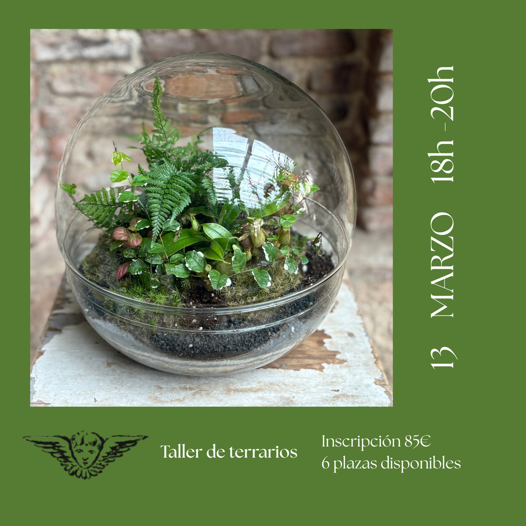 Taller de Terrarios