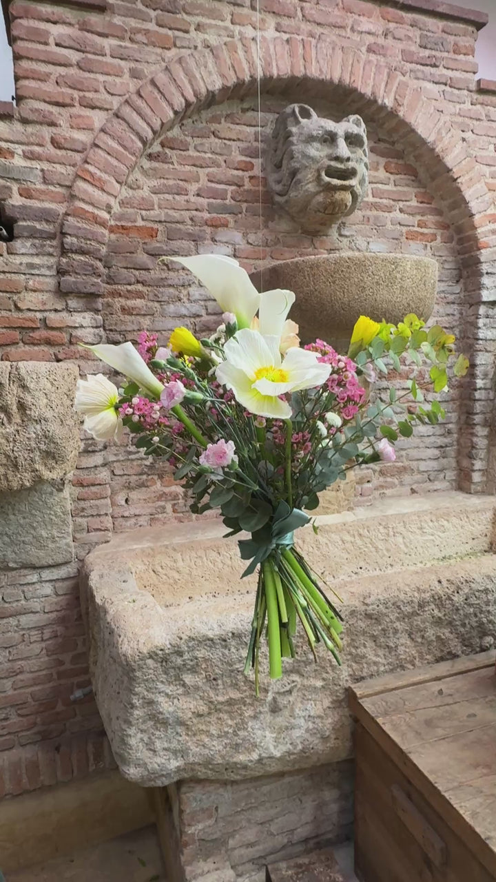 Ramo Semanal Poppy-Pop